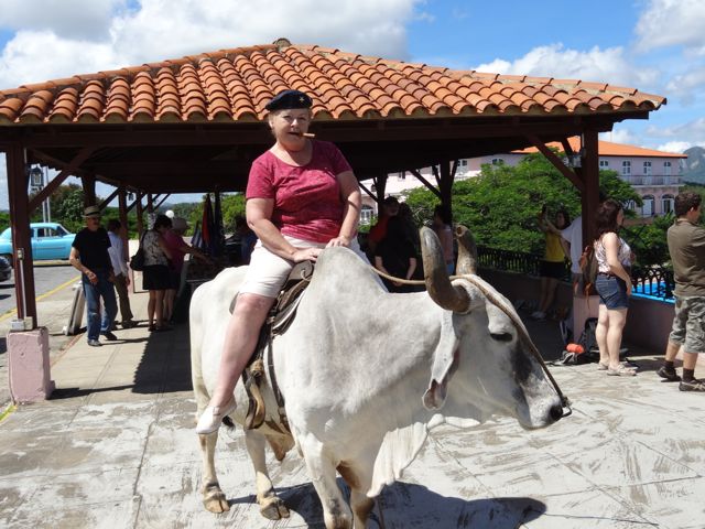 Enterprising Cuban farmer sells rides on his steer for 1 CUC ($1)