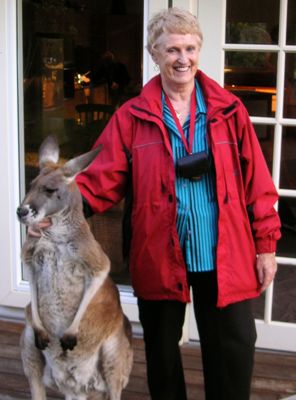 wild kangaroo with woman next to it in west australia