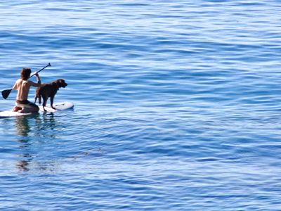 Laguna_Beach-Surfer_with_Dog